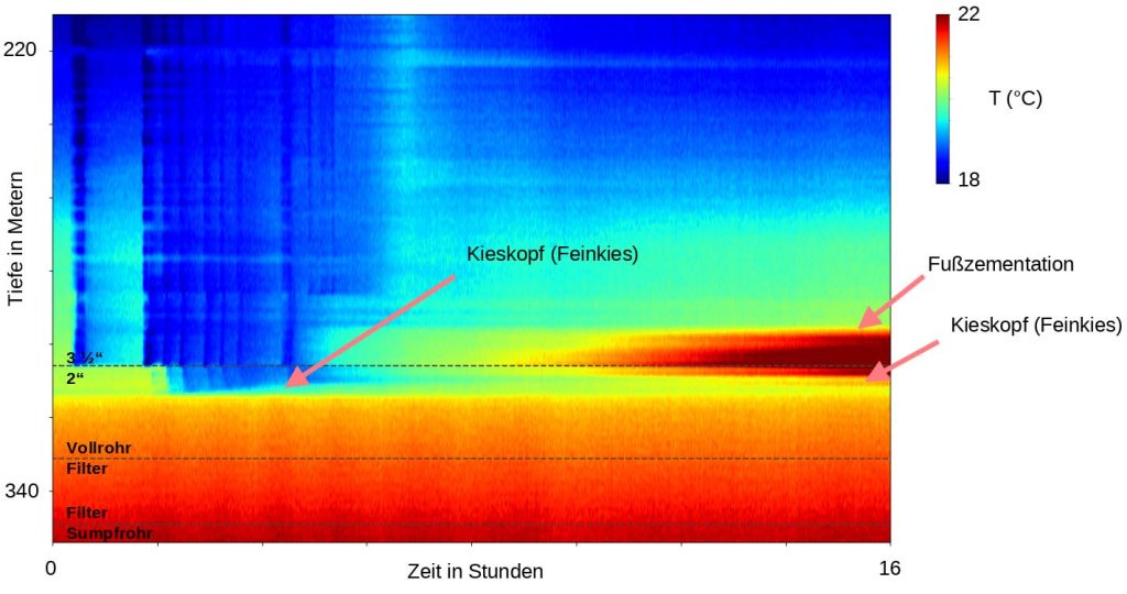 Fomon-DTS-Datenbeispiel